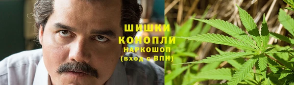 мдпв Богданович