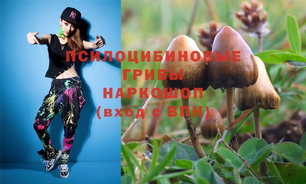 крисы Богородск