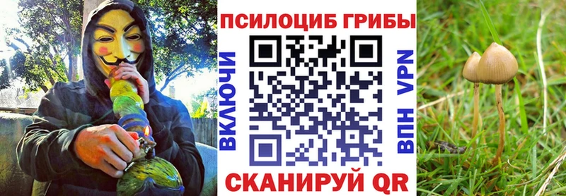 Галлюциногенные грибы прущие грибы  купить наркотики сайты  mega рабочий сайт  Сухиничи 